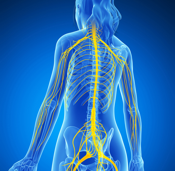 1 Biofeedback Theraphy
